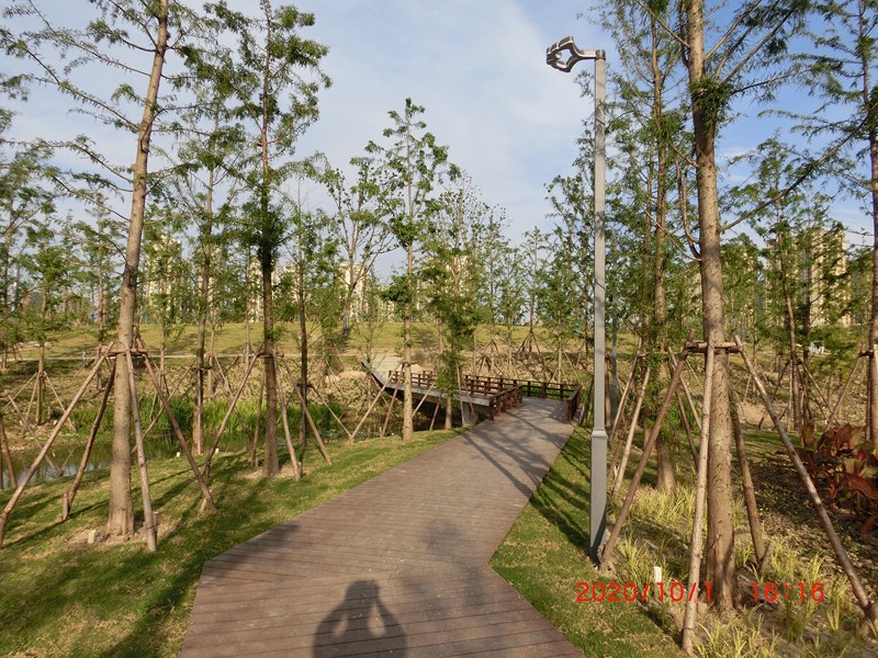 鹽龍?bào)w育公園木屋景觀(guān)燈